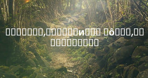 �������͵������и��� ʲô���͵�����������